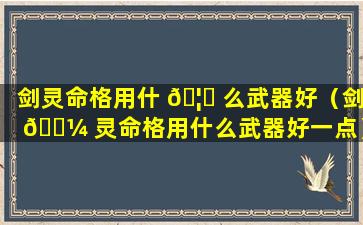 剑灵命格用什 🦍 么武器好（剑 🐼 灵命格用什么武器好一点）